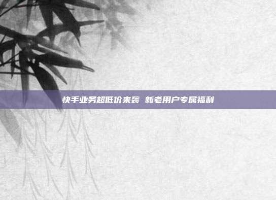 快手业务超低价来袭 新老用户专属福利