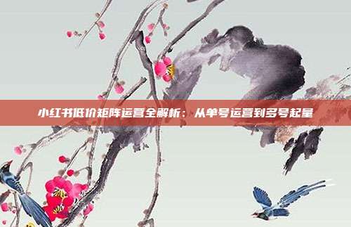 小红书低价矩阵运营全解析：从单号运营到多号起量