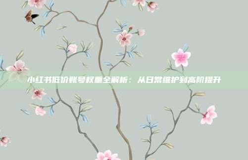 小红书低价账号权重全解析:从日常维护到高阶提升