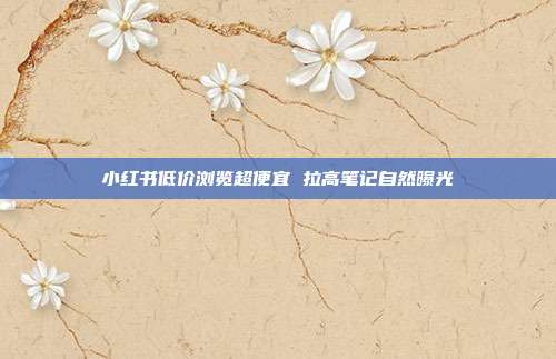 小红书低价浏览超便宜 拉高笔记自然曝光