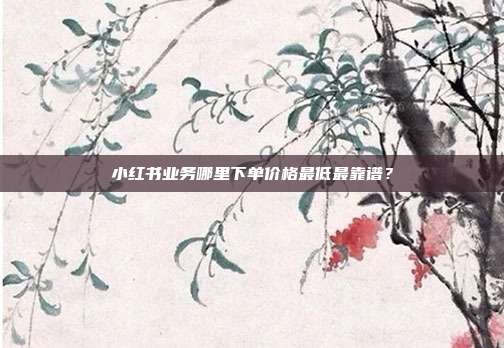 小红书业务哪里下单价格最低最靠谱?