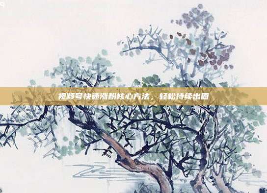 视频号快速涨粉核心方法，轻松持续出圈