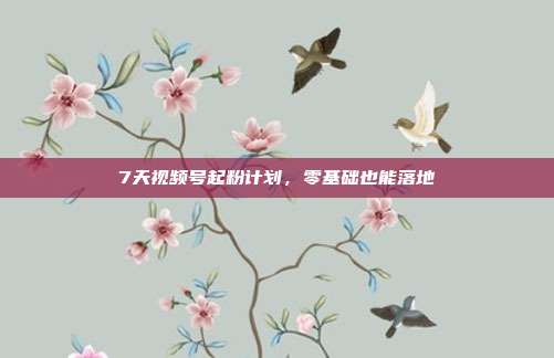 7天视频号起粉计划,零基础也能落地