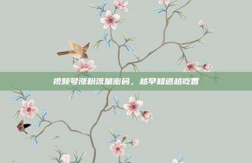 视频号涨粉流量密码，越早知道越吃香