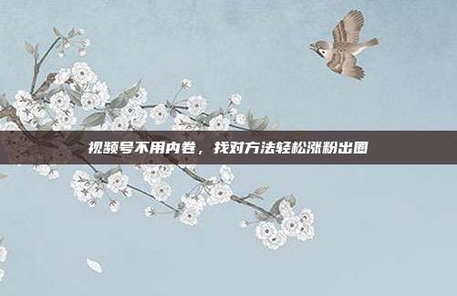 视频号不用内卷，找对方法轻松涨粉出圈