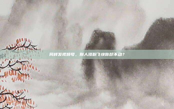 同样发视频号，别人涨粉飞快你却不动？