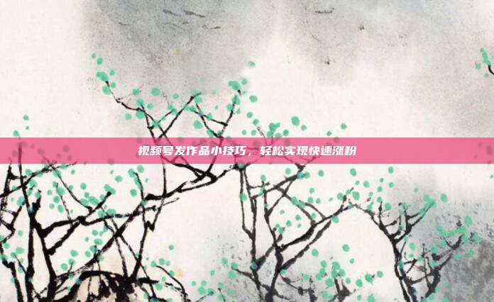视频号发作品小技巧，轻松实现快速涨粉