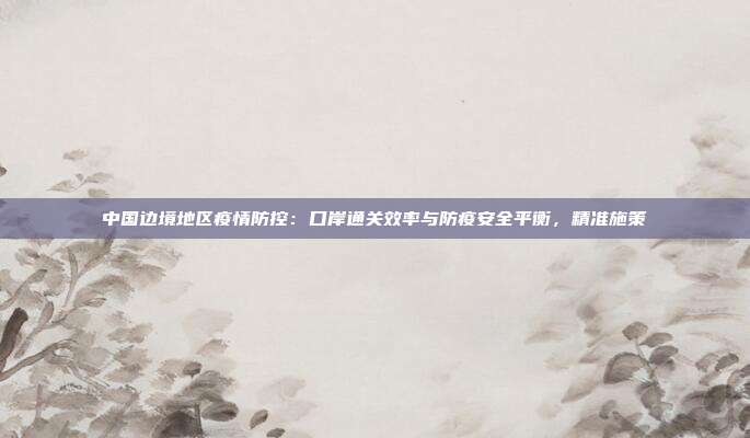 中国边境地区疫情防控：口岸通关效率与防疫安全平衡，精准施策