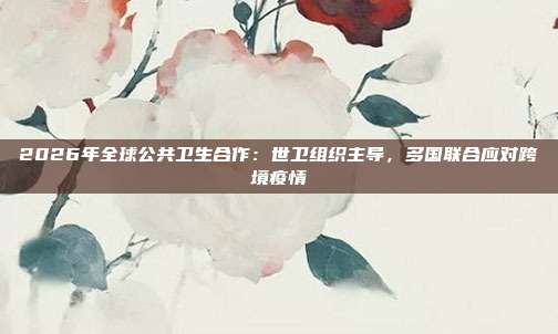 2026年全球公共卫生合作:世卫组织主导,多国联合应对跨境疫情