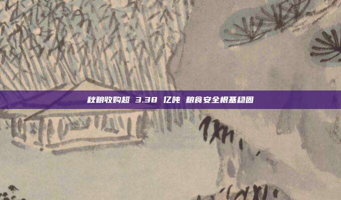 秋粮收购超 3.38 亿吨 粮食安全根基稳固