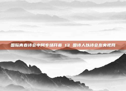 国际青春诗会中阿专场开幕 13 国诗人以诗会友央视网