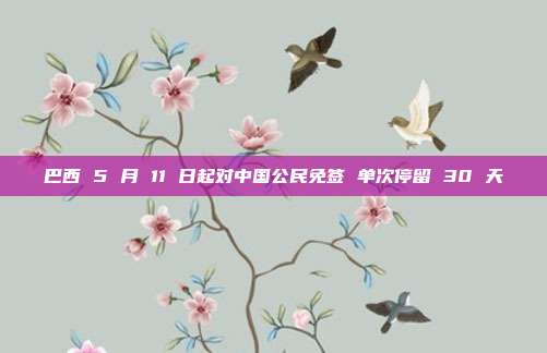 巴西 5 月 11 日起对中国公民免签 单次停留 30 天