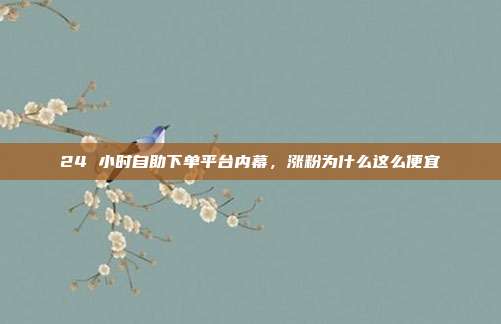 24 小时自助下单平台内幕,涨粉为什么这么便宜
