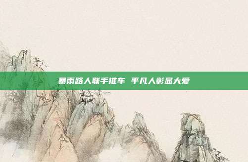 暴雨路人联手推车 平凡人彰显大爱