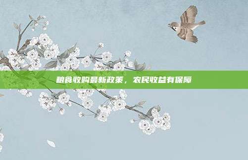 粮食收购最新政策,农民收益有保障