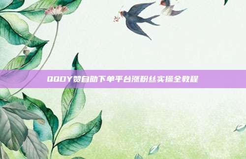 QQDY赞自助下单平台涨粉丝实操全教程