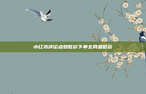 小红书评论点赞低价下单全网最低价