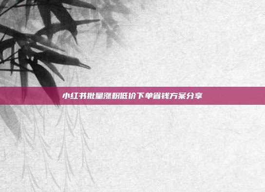 小红书批量涨粉低价下单省钱方案分享