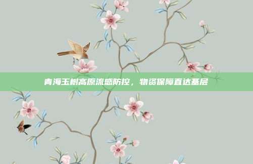 青海玉树高原流感防控，物资保障直达基层