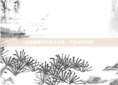云南瑞丽边境输入风险,严防疫情反弹