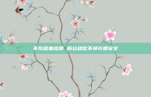 不怕查重检测 粉丝稳定不掉长期安全