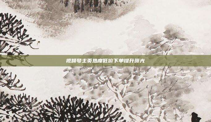 视频号主页热度低价下单提升曝光