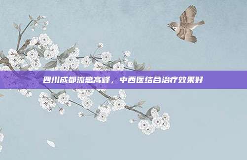 四川成都流感高峰,中西医结合治疗效果好