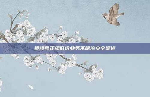 视频号正规低价业务不限流安全渠道