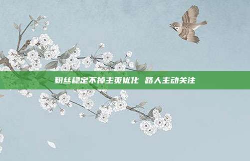 粉丝稳定不掉主页优化 路人主动关注