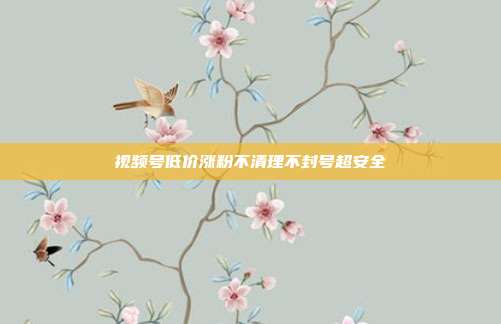 视频号低价涨粉不清理不封号超安全