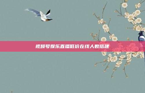 视频号娱乐直播低价在线人数搭建