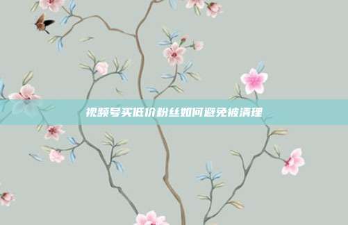 视频号买低价粉丝如何避免被清理