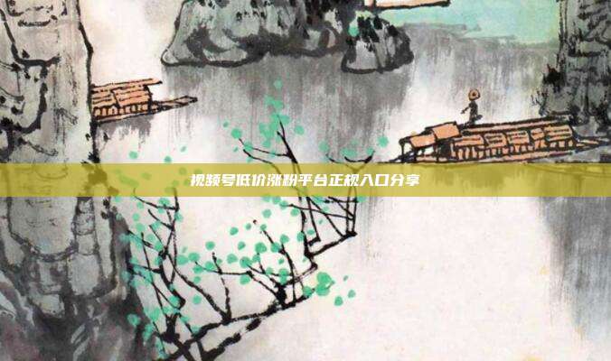 视频号低价涨粉平台正规入口分享