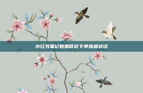 小红书笔记数据低价下单靠谱途径