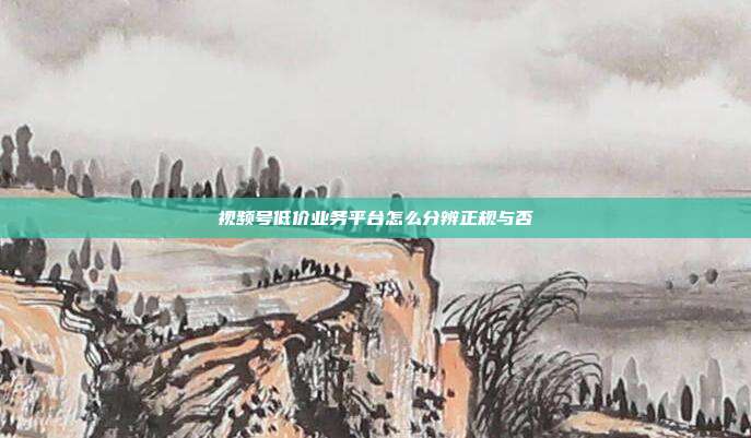 视频号低价业务平台怎么分辨正规与否
