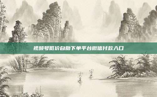 视频号低价自助下单平台微信付款入口
