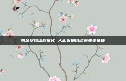 机场安检流程优化 人脸识别自助通关更快捷