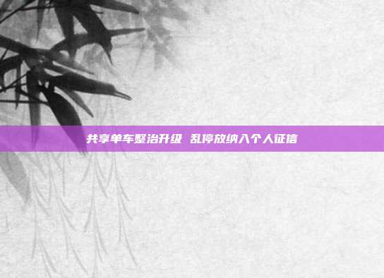 共享单车整治升级 乱停放纳入个人征信