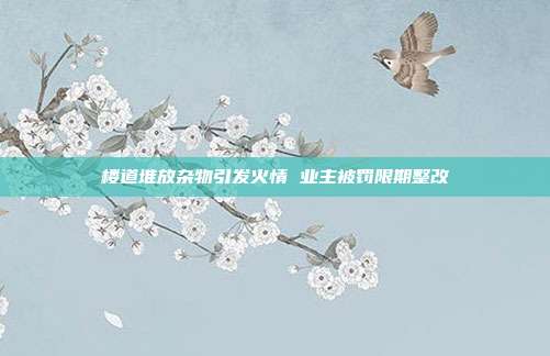 楼道堆放杂物引发火情 业主被罚限期整改
