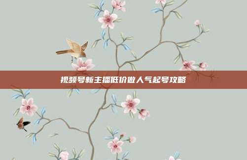 视频号新主播低价做人气起号攻略