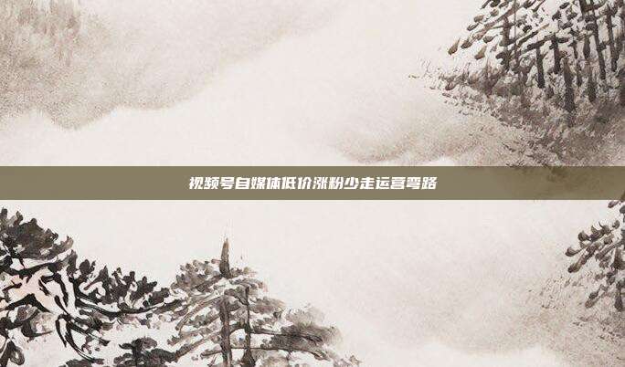 视频号自媒体低价涨粉少走运营弯路