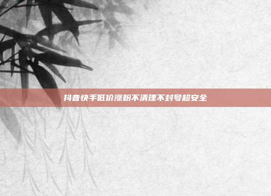 抖音快手低价涨粉不清理不封号超安全