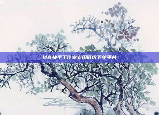 抖音快手工作室专用低价下单平台
