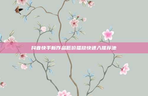抖音快手新作品低价播放快速入推荐池