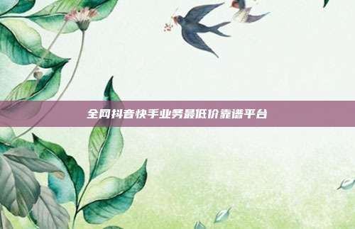 全网抖音快手业务最低价靠谱平台