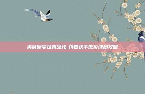 美食账号拉高曝光-抖音快手低价涨粉攻略