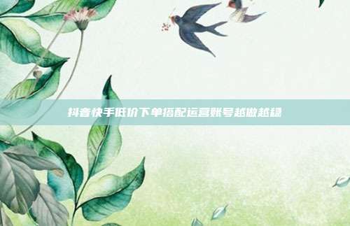 抖音快手低价下单搭配运营账号越做越稳
