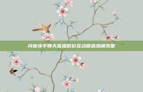 抖音快手聊天直播低价互动营造热闹氛围