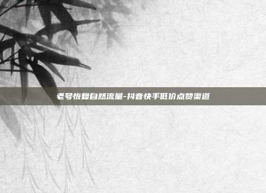 老号恢复自然流量-抖音快手低价点赞渠道