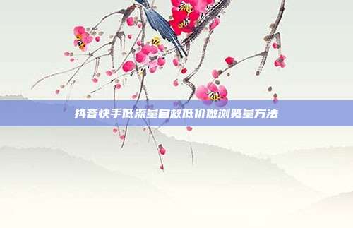 抖音快手低流量自救低价做浏览量方法